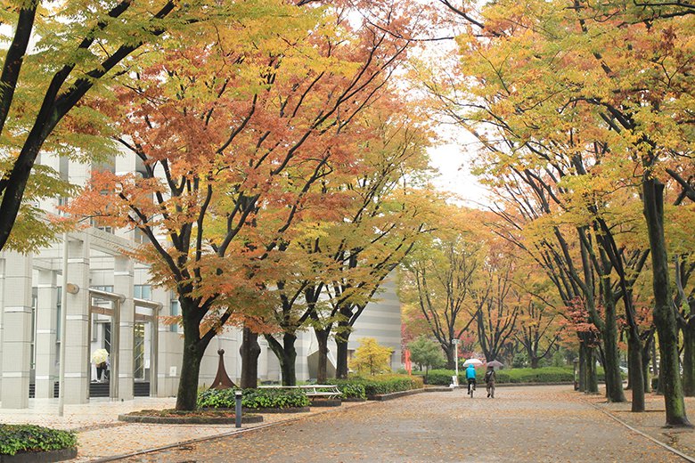 白川公園の画像2